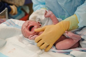 newborn