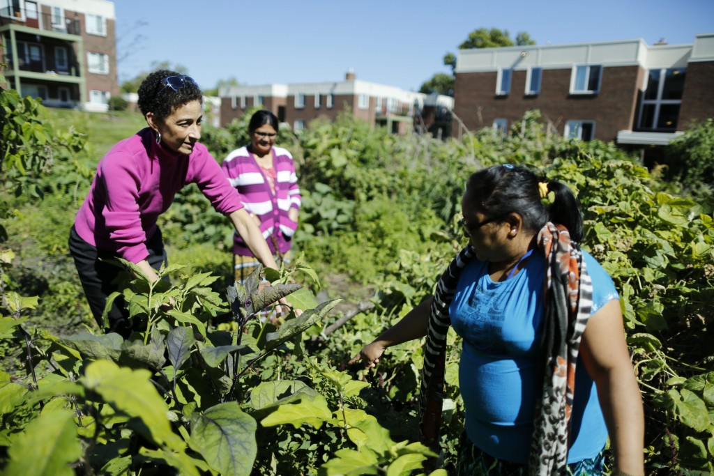 Residents and Community Health Advocate in Rolling Hills community garden.
